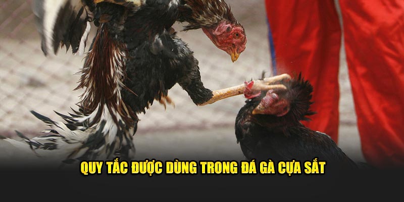 Quy tắc được dùng trong đá gà cựa sắt 